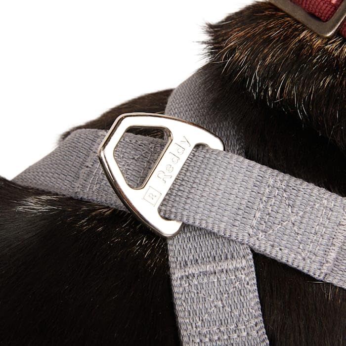 Reddy Grey Reflective Dog Harness Large