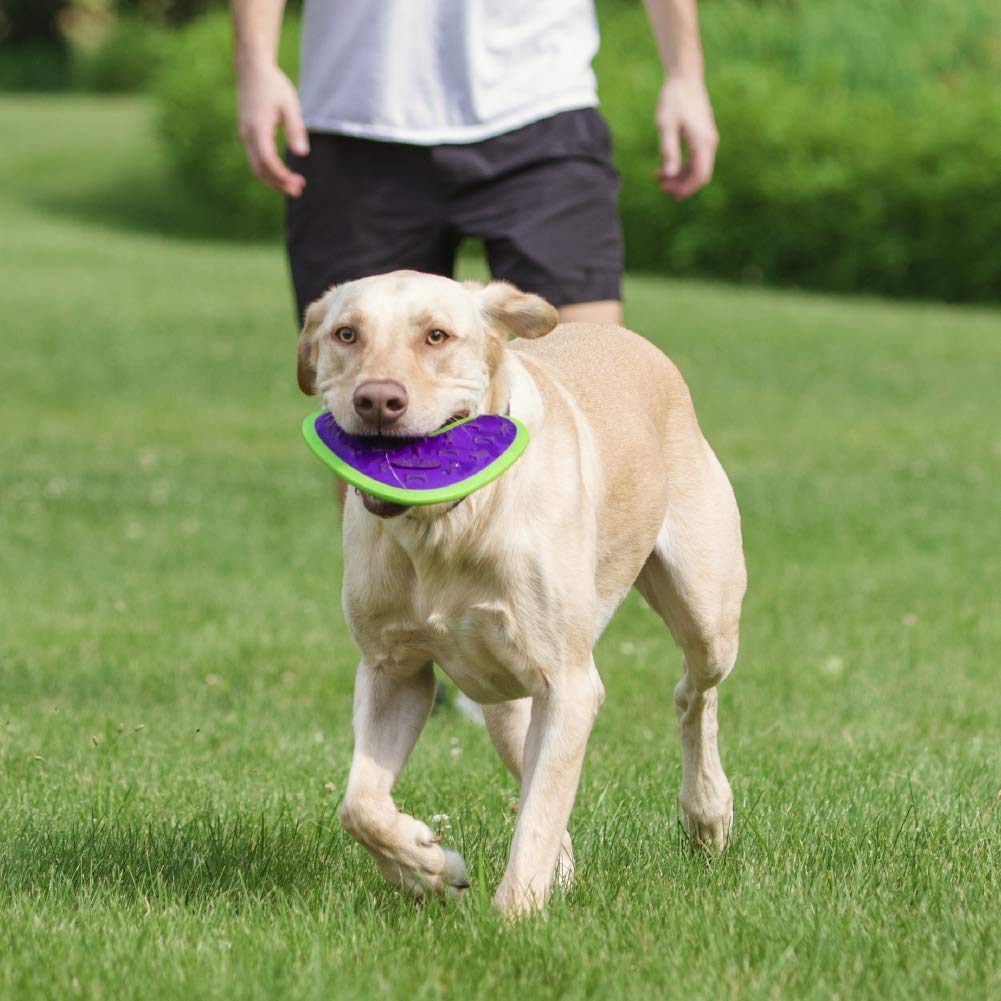 Hero | Outer Armor Boomerang Dog Toy | Dog Chew Toy | Dog Toys | Puppy Toys | Pet Toys | Designed For Medium To Large Sized Dogs From 45-65 Lbs | Purple