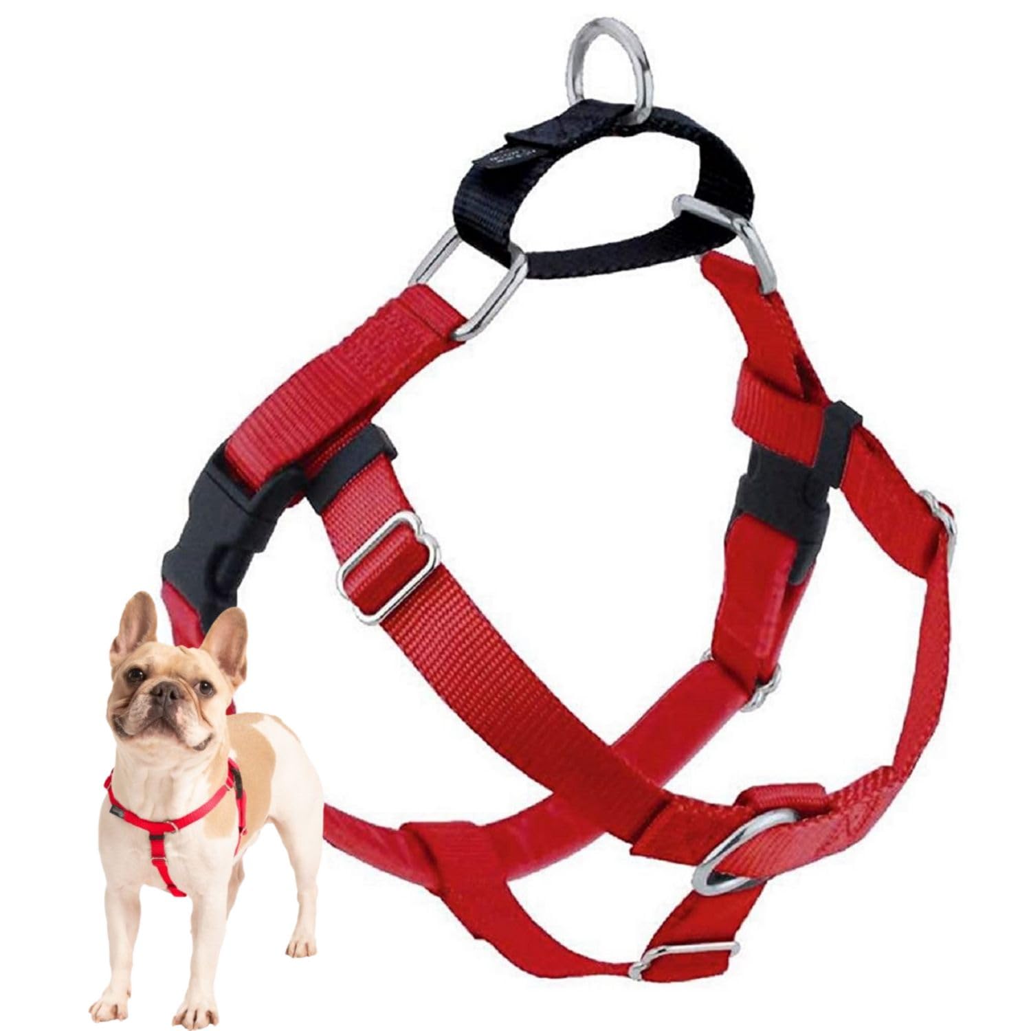 2 Hounds Design Freedom No Pull Dog Harness | Adjustable Gentle Comfortable Control for Easy Dog Walking | for Small Medium and
