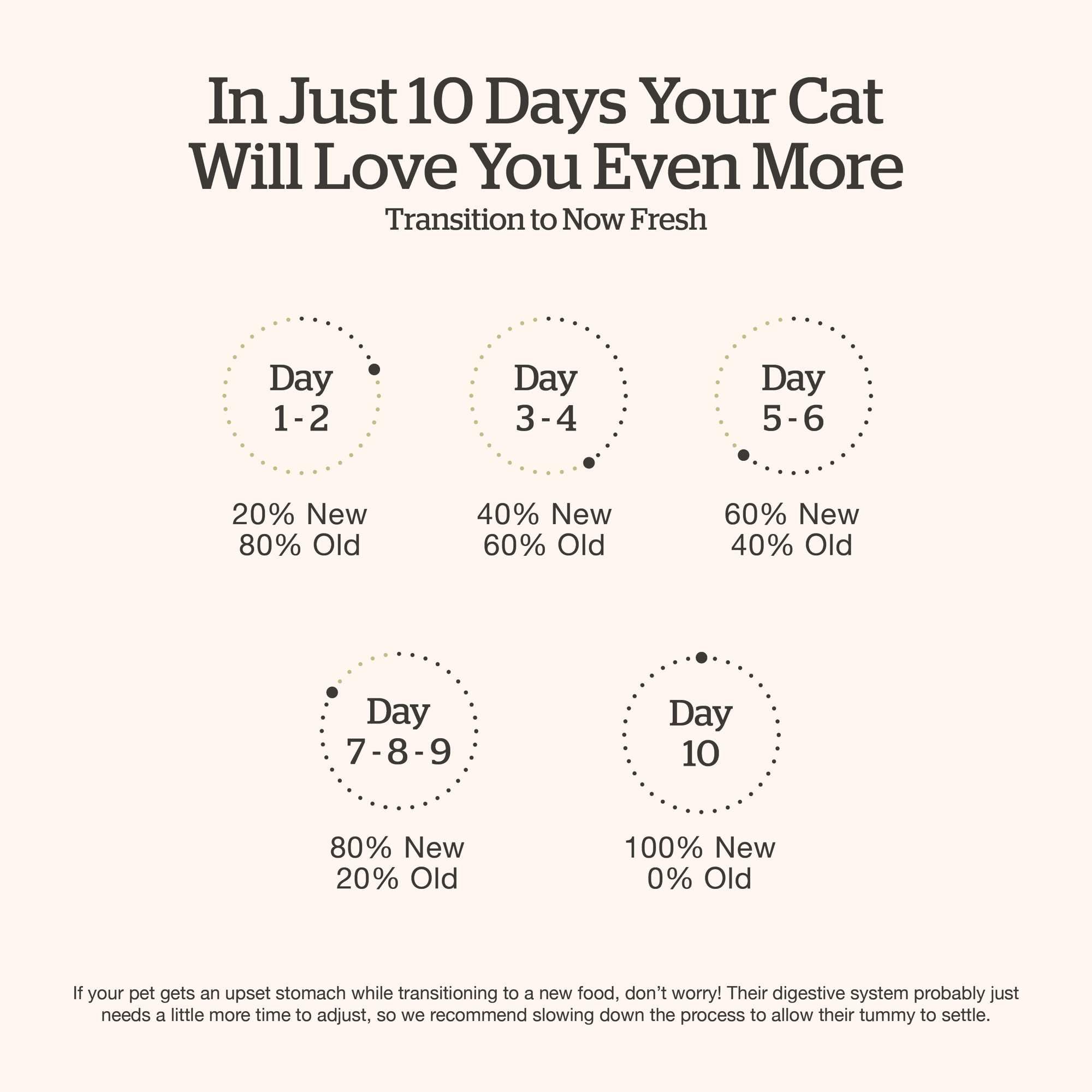Now Fresh Grain-Free Dry Kitten Food with Turkey, Salmon & Duck, Healthy Kibble for Growing Cats with Real Poultry & Fish, Chick
