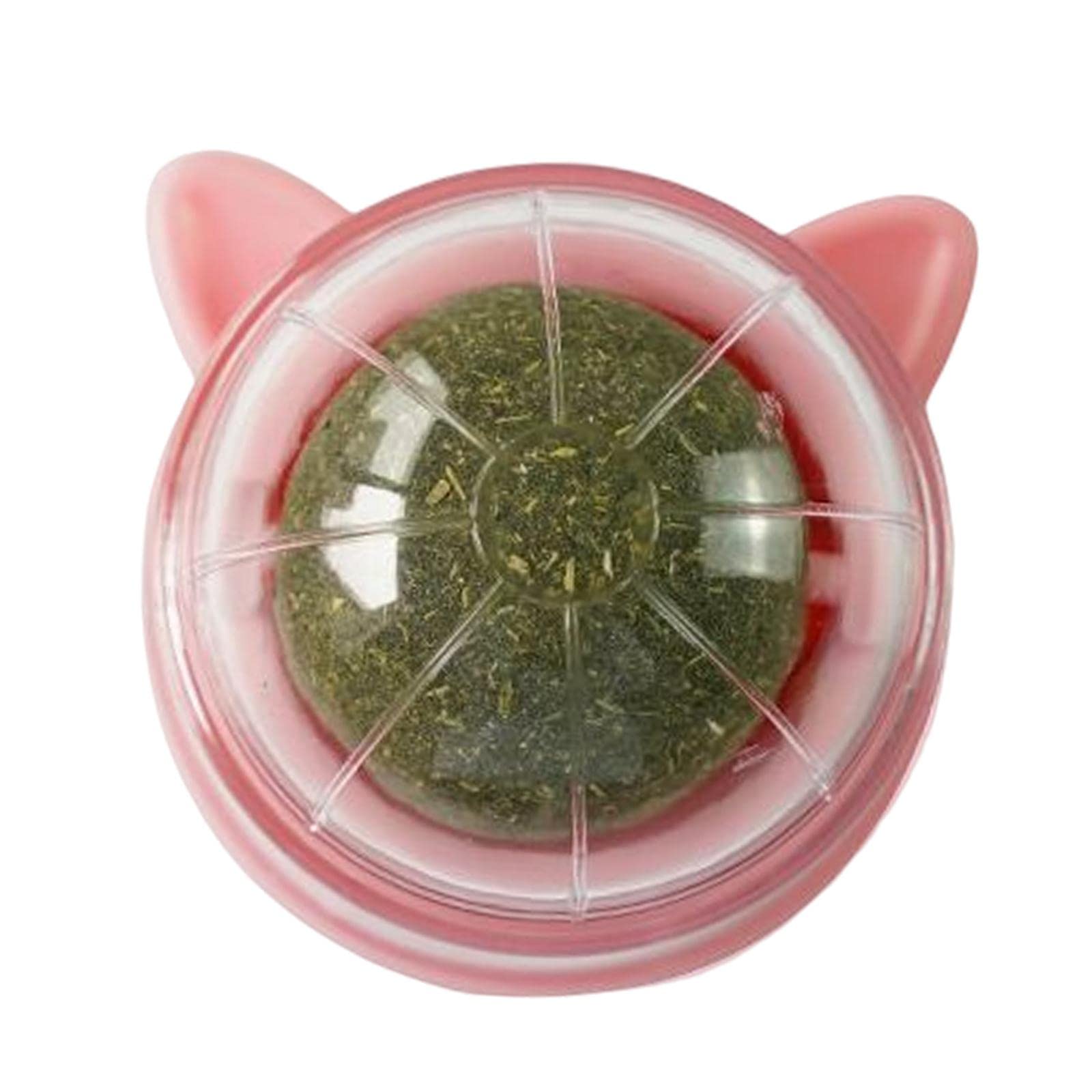 Myaddiction Catnip Ball Toys Teething Toy Snack Pet French Windows With Lid Chew Cat Toy Style G