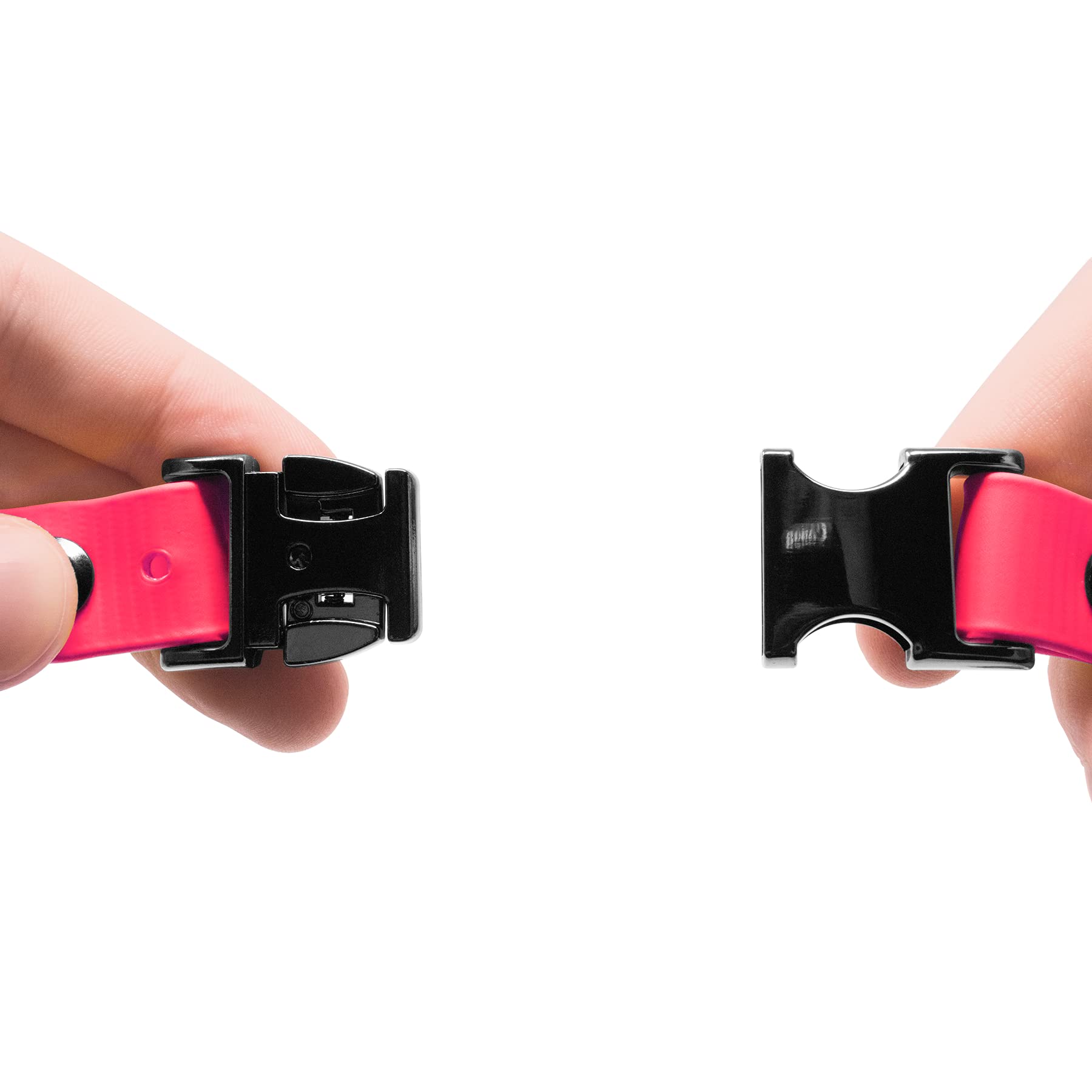 Educator Quick Snap Bungee Dog Collar, Biothane, Waterproof, Odorproof, Easy Connect And Disconnect Clasp And D Ring With Comfort Bungee Loop, Adjustable For Custom Fit, 3/4-Inch, Pink