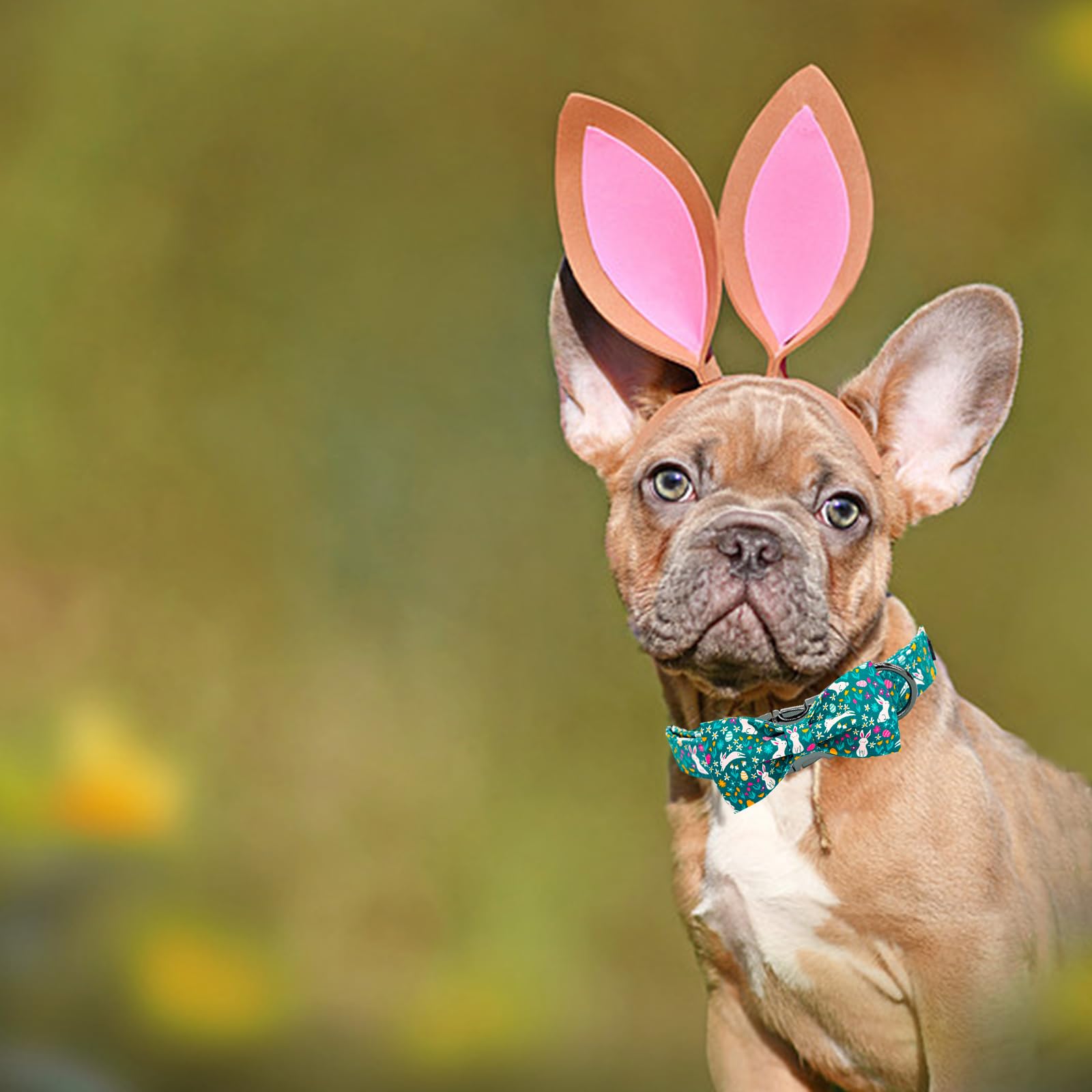Elegant Little Tail Easter Dog Collar, Bunny Print Dog Collasr With Bow Girl Boy Pet Collar Bowtie Spring Holiday Pet Collars Ad