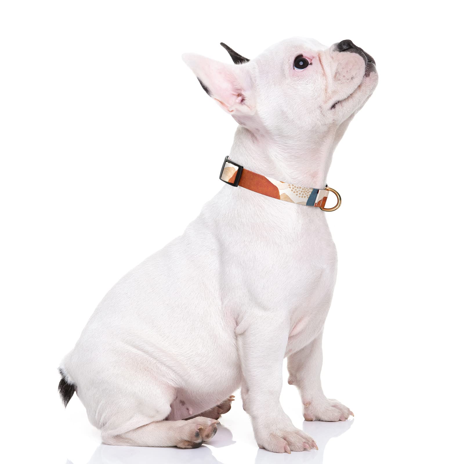 Rnivvi Dog Collar For Small Dogs, Cute Heavy Duty Adjustable Puppy Collar With Quick Release Buckle For Boy Girl & Female, Pet A