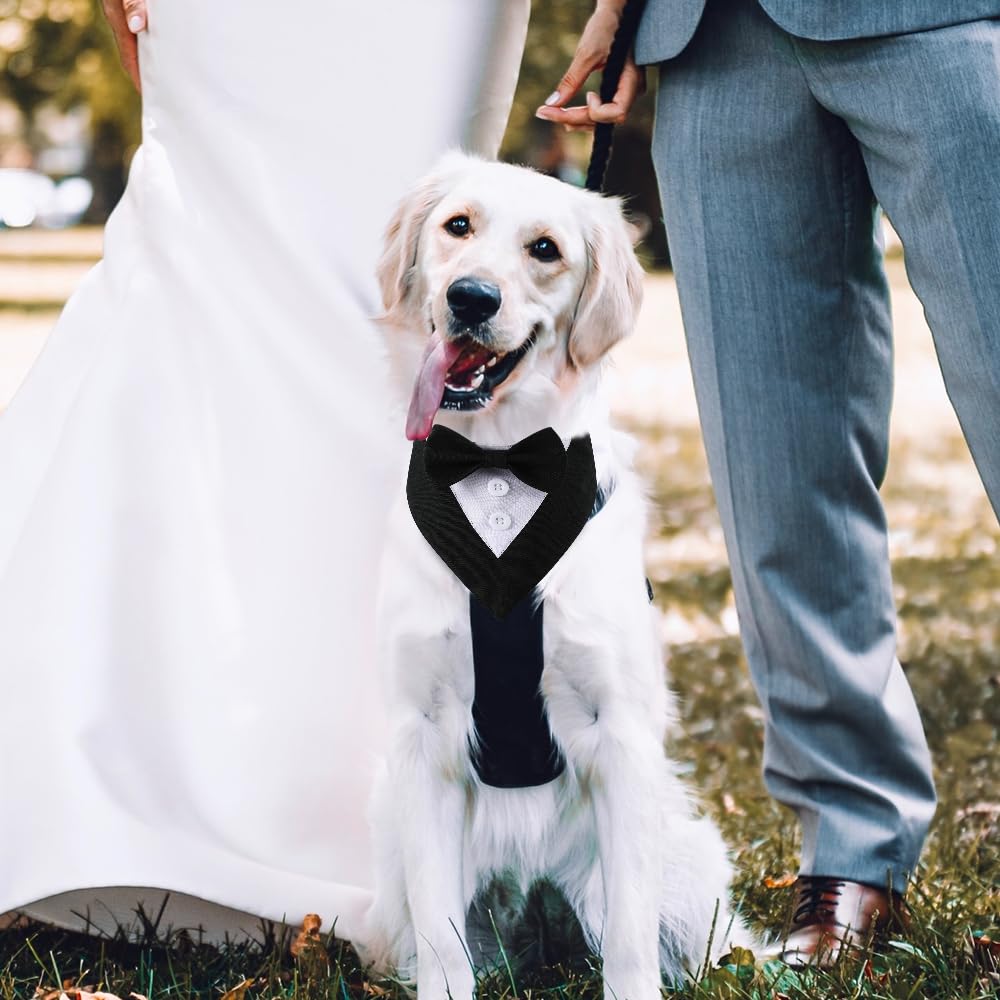 Dogtact Dog Wedding Bandana, Formal Dog Tuxedo Adjustable Pet Collar With Bow, Small, Medium And Large Dog Wedding Clothing, Birthday Gifts For Dogs (Small, Black)