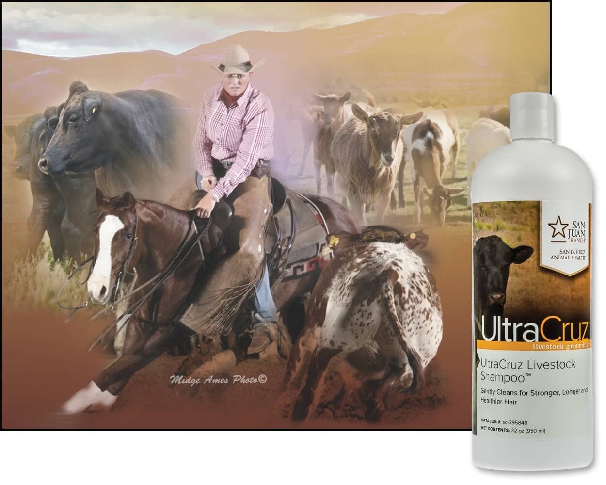 Ultracruz Livestock Shampoo, 32 Oz
