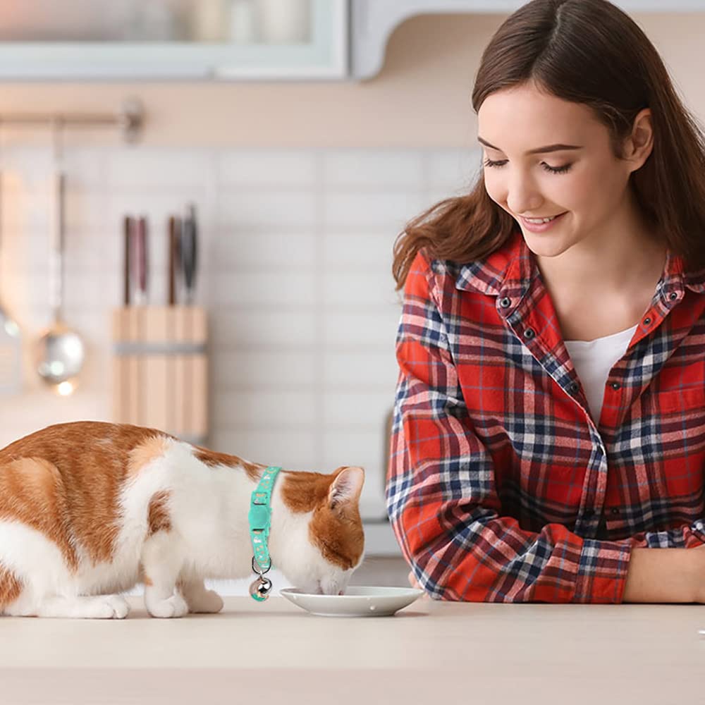 2Pcs Breakaway Cat Collars With Bell Cute Kitty Glow In The Dark Adjustable Kitten Collars 7.9-13.0 Inch(Teal&Pink)