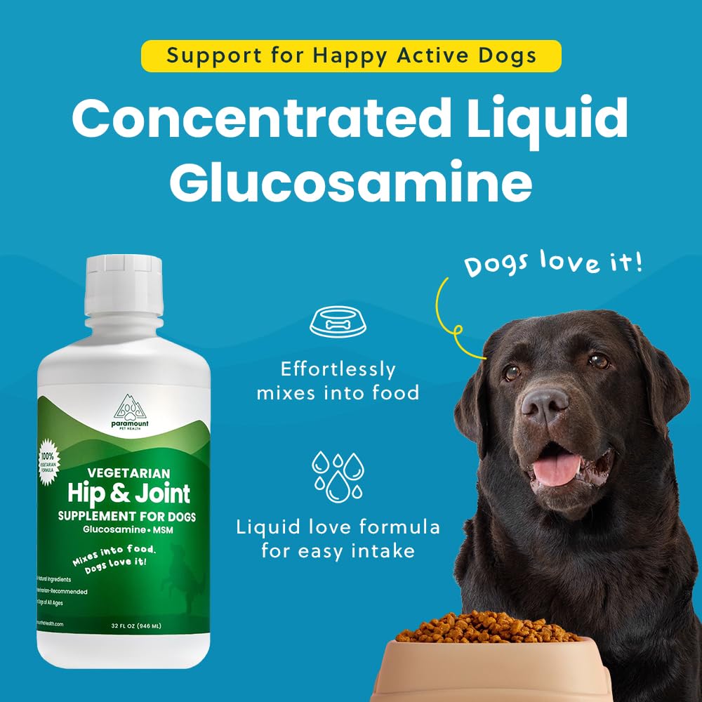 Paramount Pet Health Plant-Based Liquid Glucosamine for Dogs, 1600 mg Glucosamine Liquid for Dogs Joint Supplement, Ideal for Mo