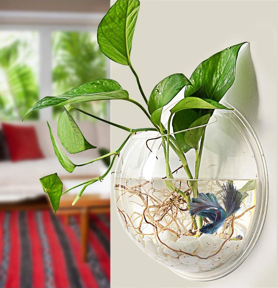 Prugna Wall-Hanging Fish Bowl Acrylic Wall-Mounted Plant Pot 1 Gallon Fish Tank 11.5-Inches Decoration Planter
