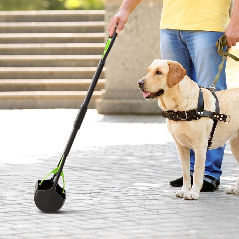 TIMINGILA Pooper Scooper - 28" Long Handle, Durable Spring, Portable for Dogs, Green