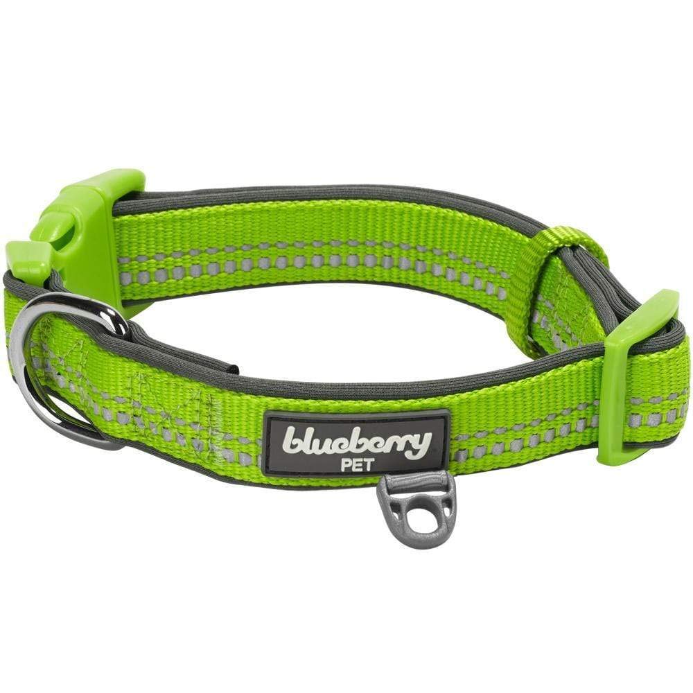 Blueberry Pet Soft & Safe 3M Reflective Neoprene Padded Adjustable Dog Collar - Green Flash, Small, Neck 12'-16'