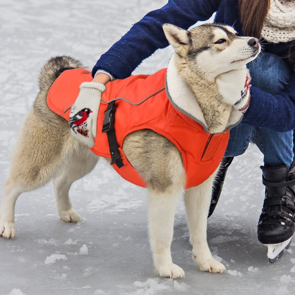 EMUST Dog Winter Coat, Waterproof Fleece Lining, X-Large, Orange, Warm Jacket for Large Dogs