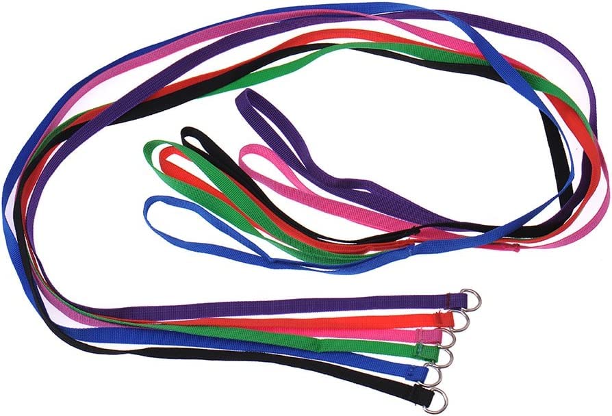 Litewoo 6 Packs Slip Lead Dog Leash, Durable And Comfortable For Cats, Dogs And Other Small Animals