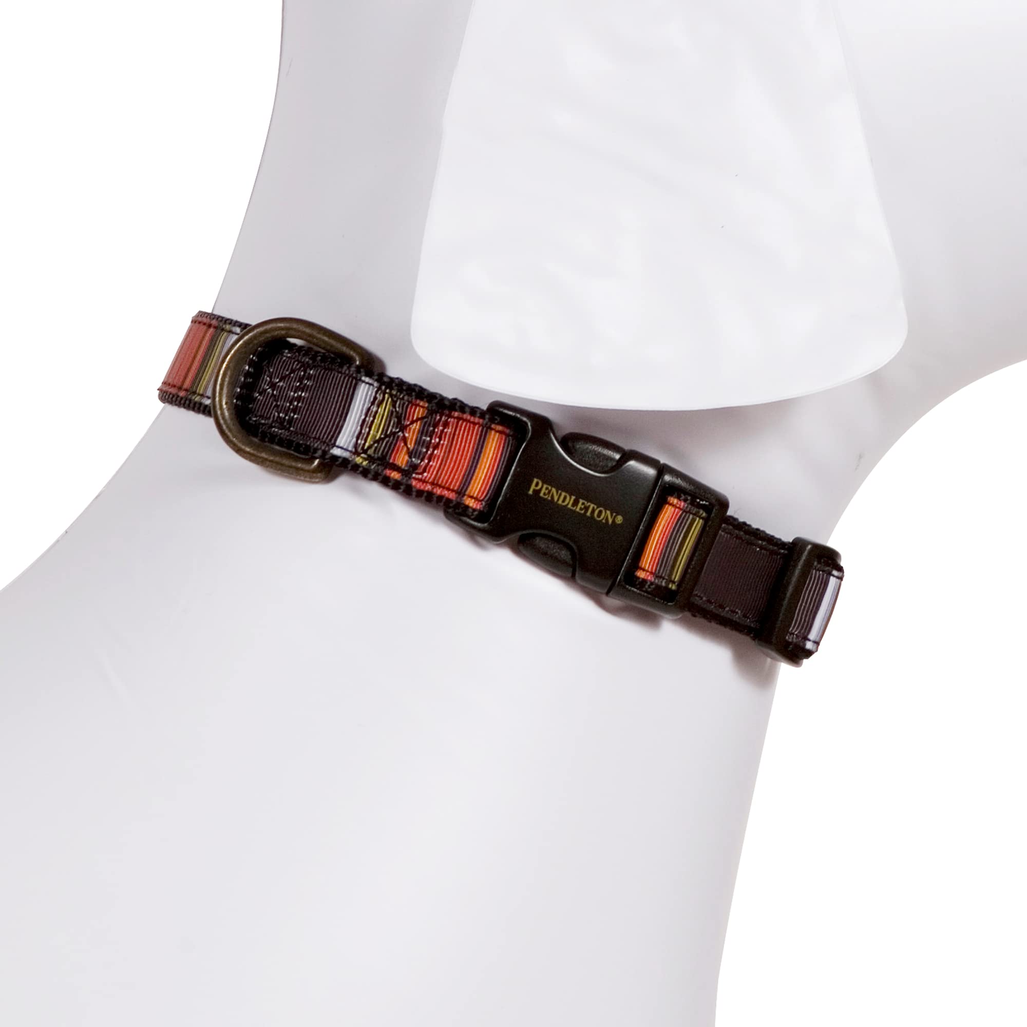 The Pendleton Collection Hiker Dog Collar, Acadia Small