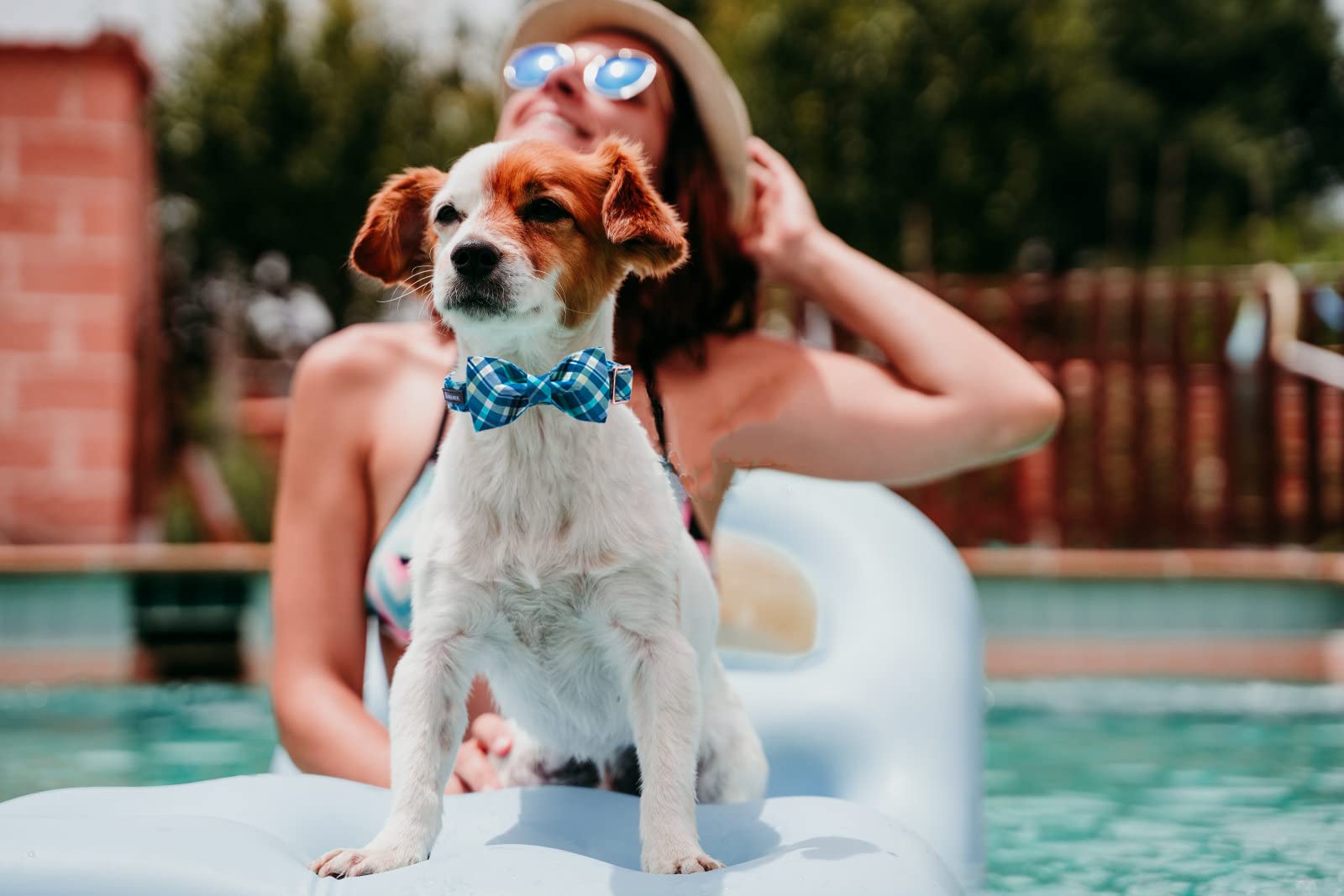 Maca Bates Plaid Blue Dog Collar With Checkered Bow Bowtie For Grid Dogs Bows Tie Adjustable Breakaway Collars Birthday Gift Col