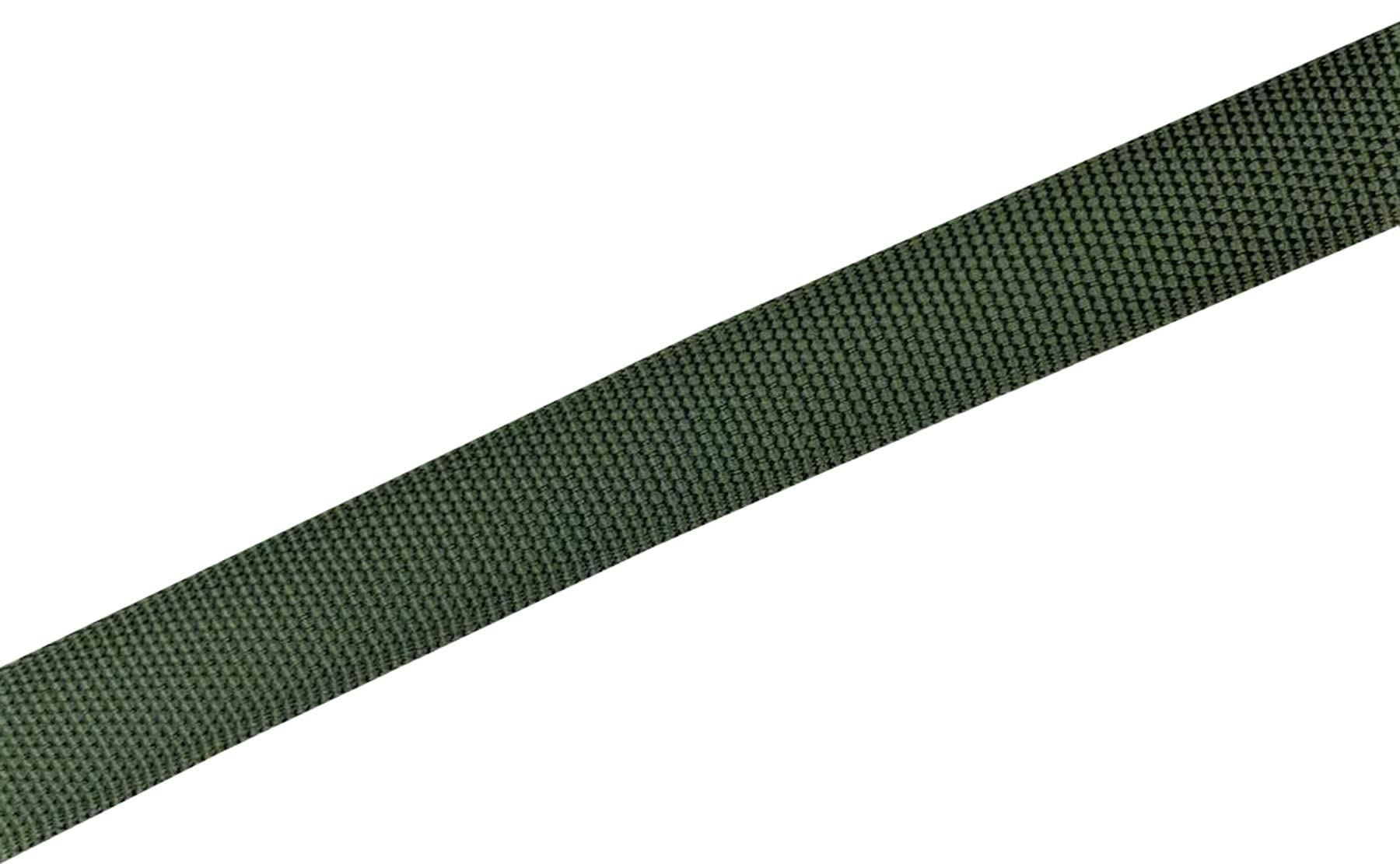 Taian 4Ft/5Ft/6Ft Strong Dog Leash, Nylon Dog Leashes For Small Medium Large Dogs (1 In X 4 Ft, Green)
