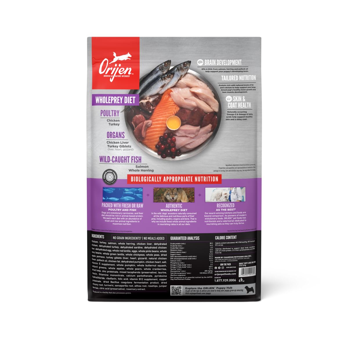 ORIJEN Puppy Large Dry Dog Food, Grain Free Dry Dog Food for Puppies, Fresh or Raw Ingredients, 13lb