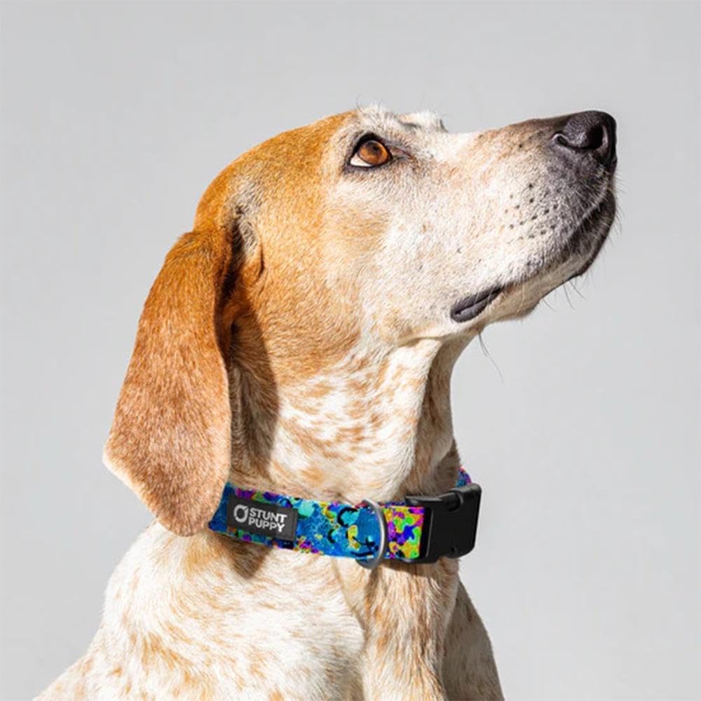 Jammin Sea Visions Everyday Collar Extra-Large
