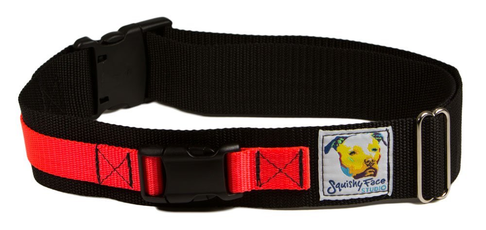 Squishy Face Studio Hands Free Dog Leash Belt - Small-Medium - Neon Orange