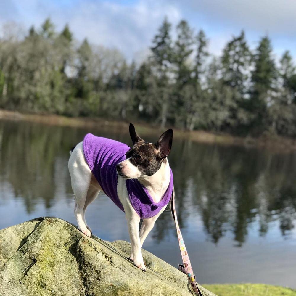 Gooby Fleece Vest Dog Sweater - Lavender, Small - Warm Pullover Fleece Dog Jacket With O-Ring Leash - Winter Small Dog Sweater C