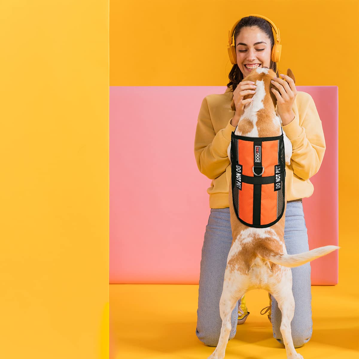Dogline Maxaire Multi-Purpose Mesh Vest For Dogs And 2 Removable Do Not Pet Patches, Medium, Orange