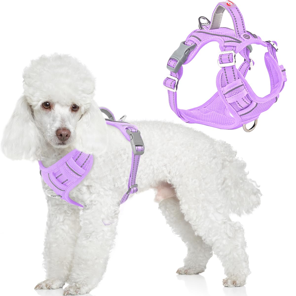 BARKBAY Dog Harness No Pull with ID Tag Pocket - Heavy Duty, Reflective, Easy Control for Large Dogs(Violet Purple,XS)