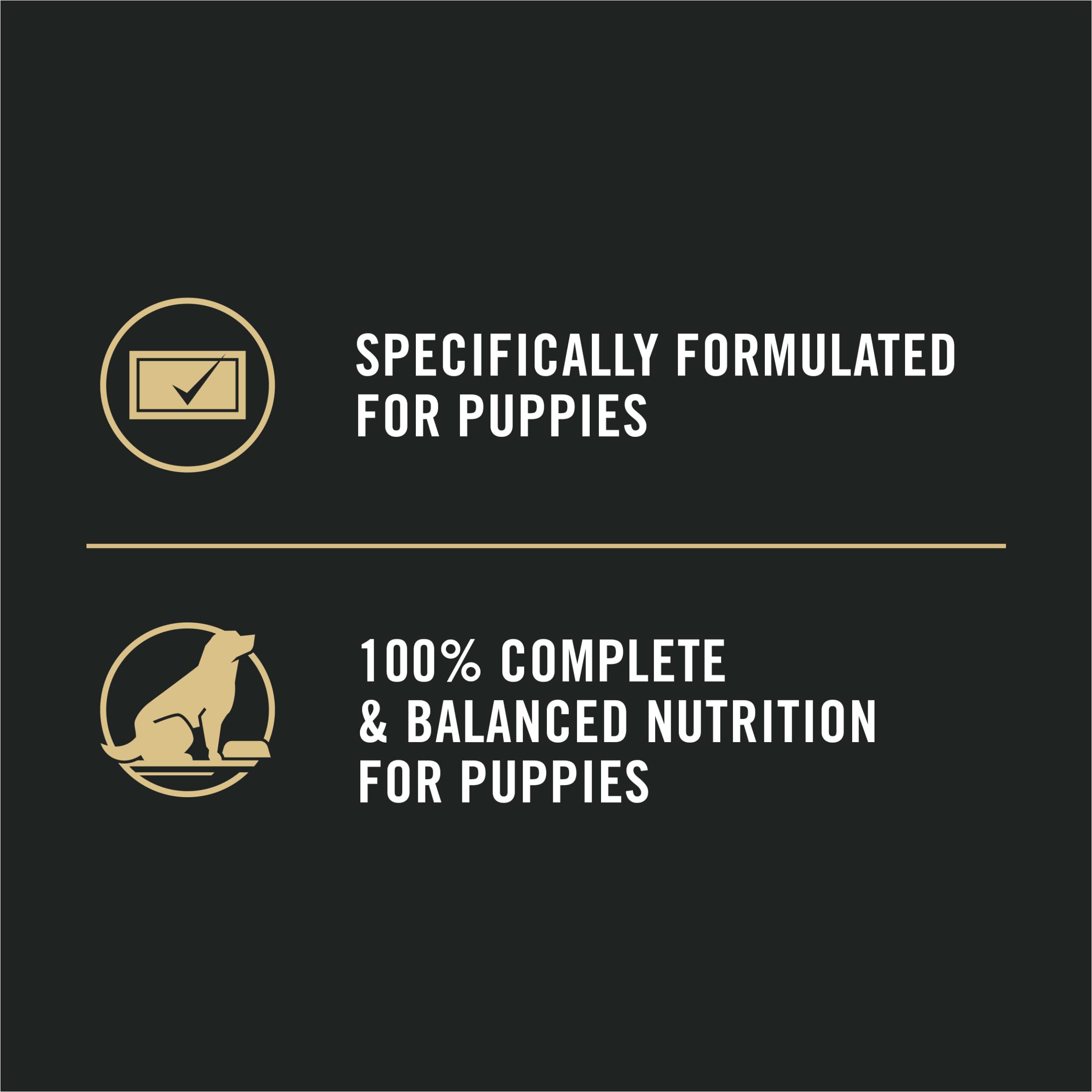Purina Pro Plan Sport High Protein Puppy Food Beef & Rice Entree Wet Formula - (Pack of 12) 13 oz. Cans