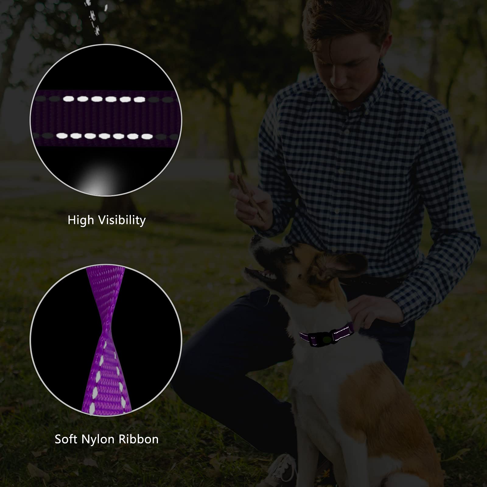 Martingale Dog Collar And Leash Set Martingale Collars For Dogs Reflective Martingale Collar For Small Medium Large Dogs(Purple&M)