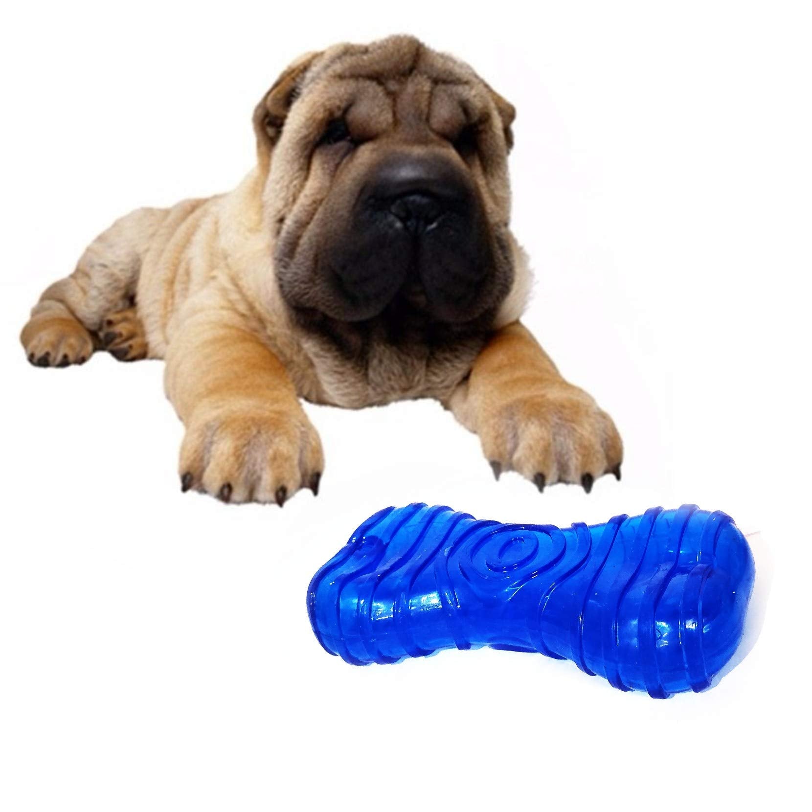 Petlicious & More Tpr Squeaky 6 Inch Bone Toy Chew Toy For Dogs & Puppies (Color May Vary)