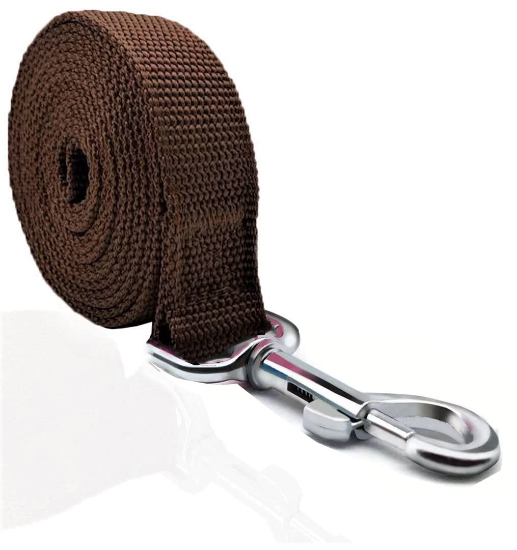 Taian 4Ft/5Ft/6Ft Strong Dog Leash, Nylon Dog Leashes For Small Medium Large Dogs (1 In X 6 Ft, Brown)