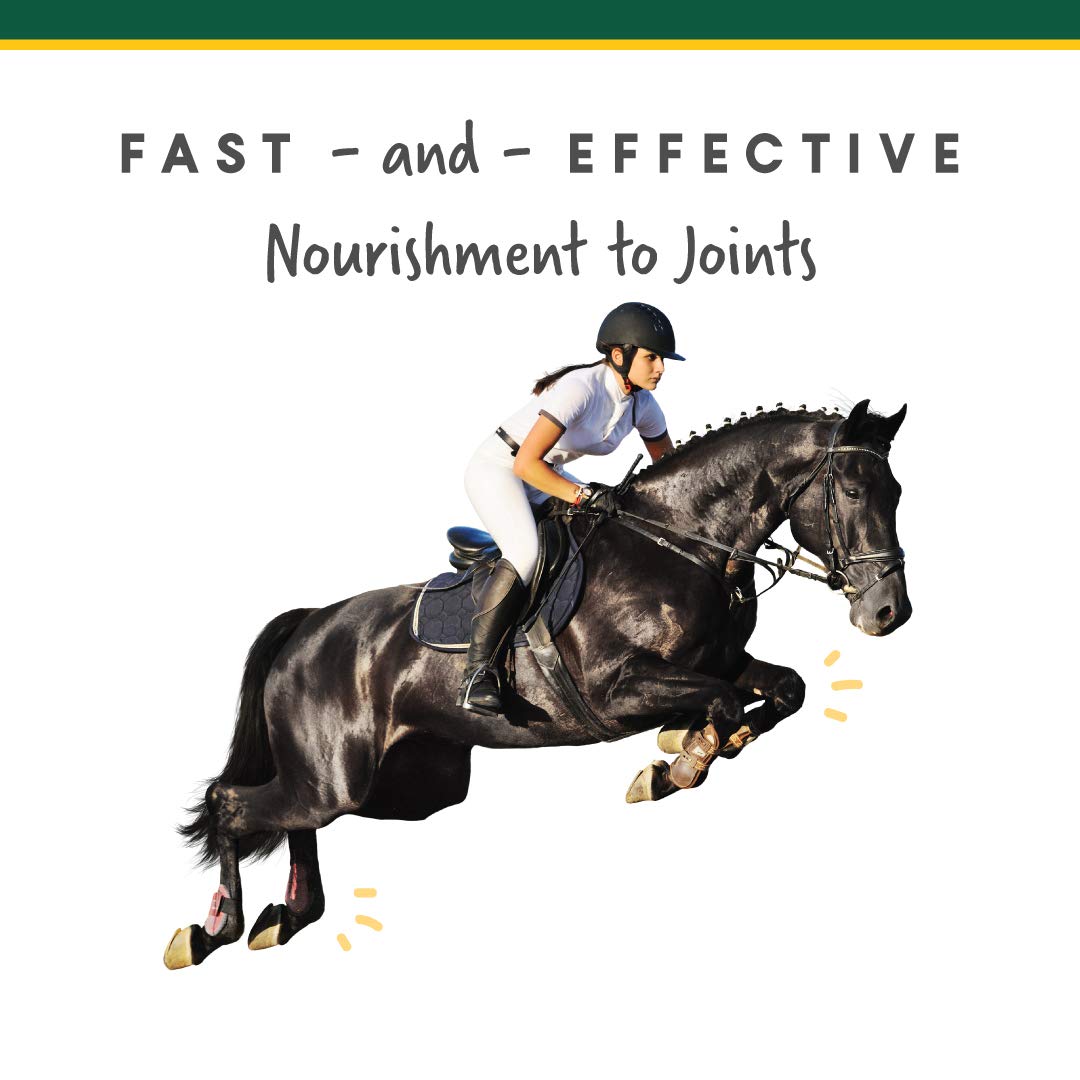 Manna Pro Corta-FLX Horse Equine Joint Supplement Powder - Quick & Effective Nourishment to Joints - 8 LB