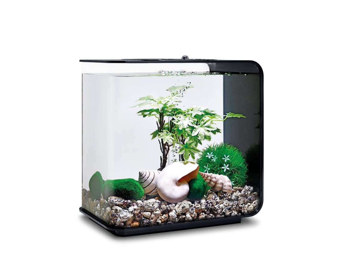 Biorb Decor Set 15L Summer, Multi, Small