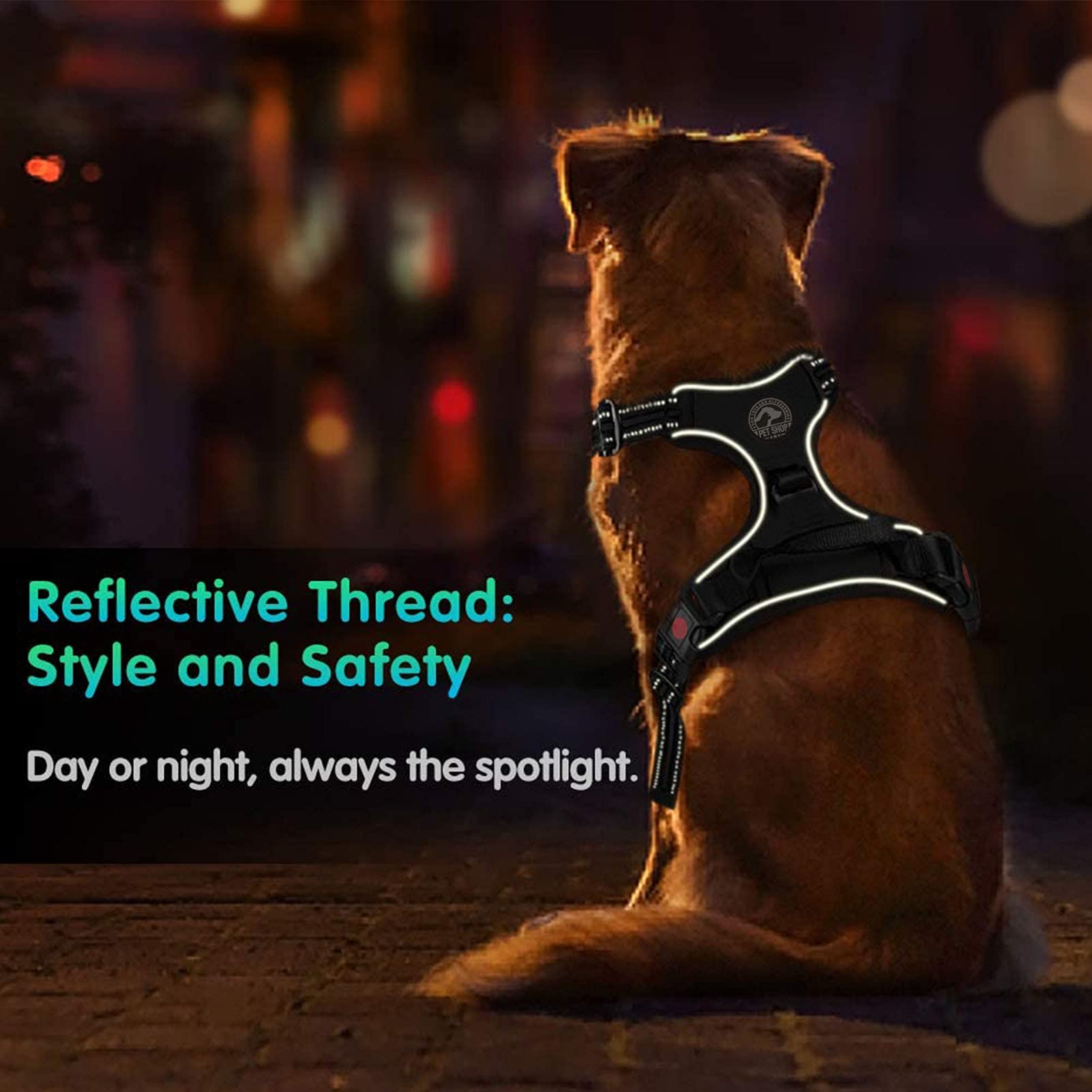 Qisebin Dog Harness, No-Pull Pet Harness With 2 Leash Clips, Adjustable Soft Padded Dog Vest, Reflective No-Choke Pet Oxford Vest With Easy Control Handle For Small Dogs, Black, M