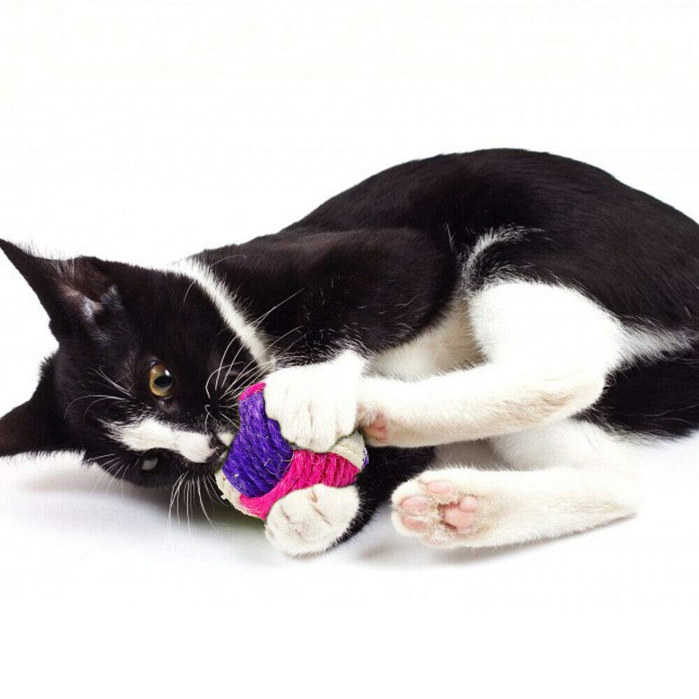 Petlicious & More Cat & Kitten Toy Sisal Hemp Knitted Ball Tricolor Biting Interactive Cat Supplies (Color May Vary, Pack Of One