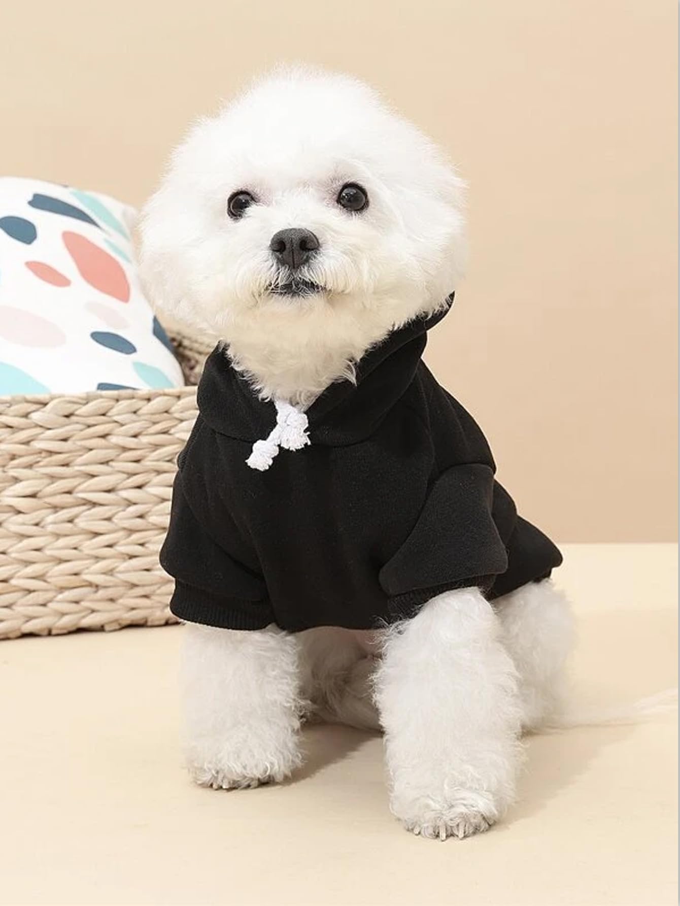 Qwnee 2Pcs Basic Dog & Cat Apparel - Warm Jacket & Shirt For Small To Medium Dogs & Cats, Black & Grey