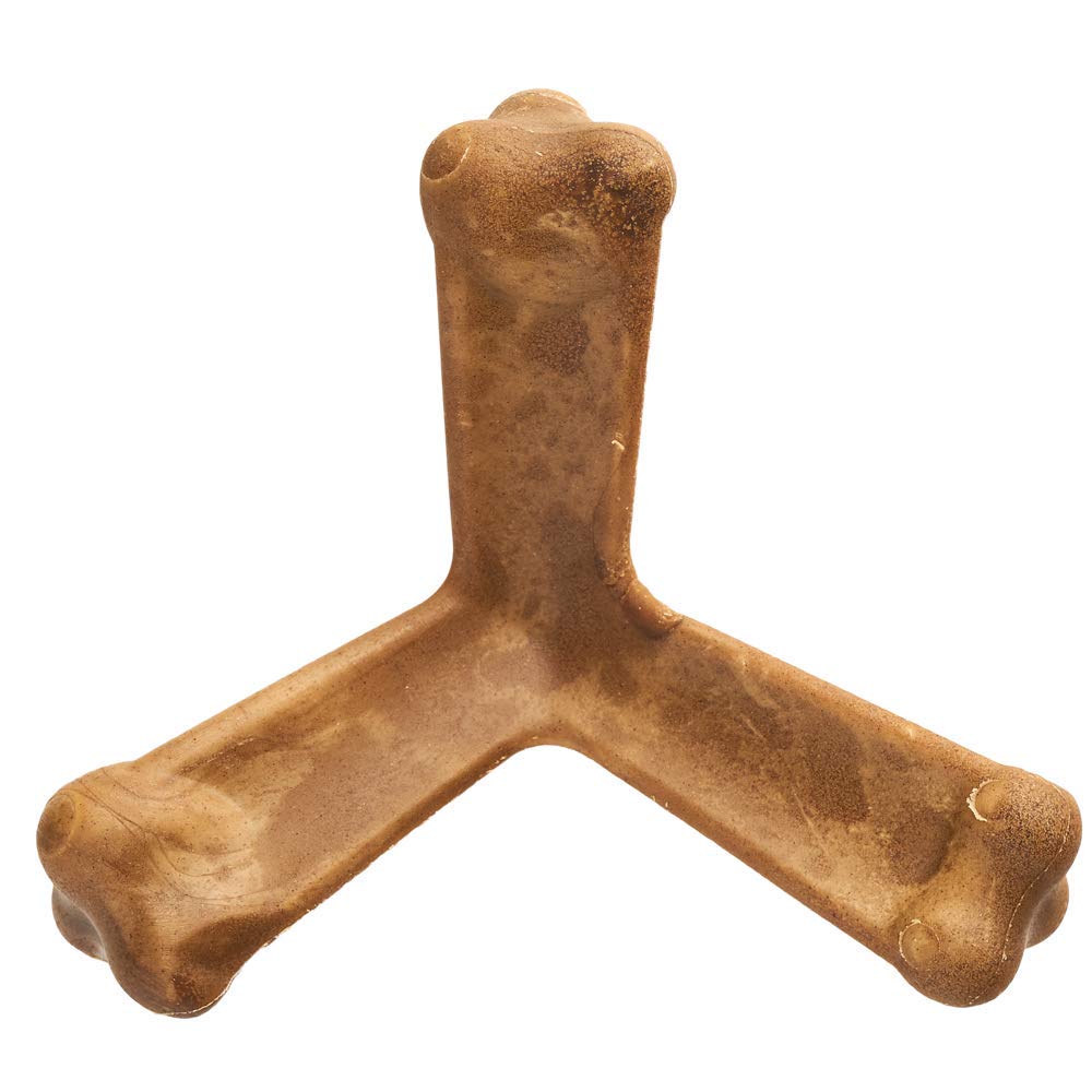 N-Bone Quado Interactive Chew, Pumpkin Flavor, Average Joe, 2.8oz