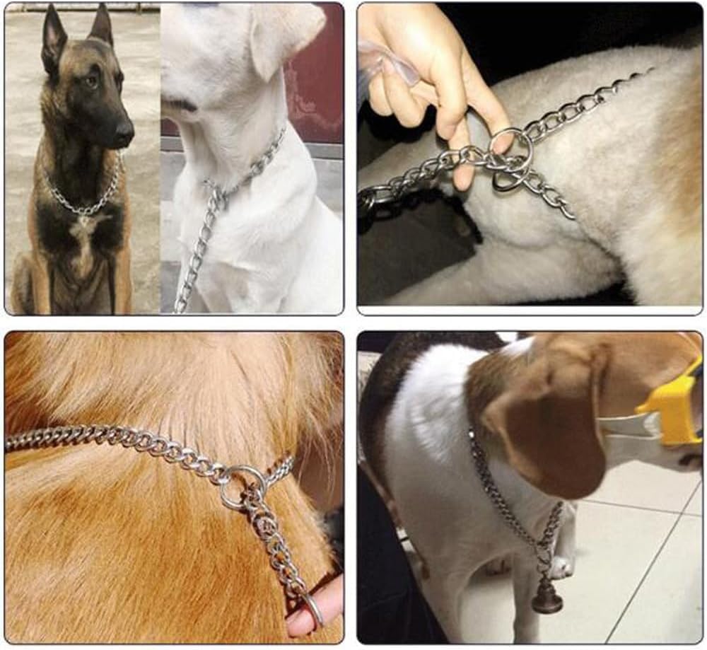 Choke Chain For Dogs, Metal Slip Link Training Heavy Duty Dog Choke Collar Martingale Puppy Collars For Xxs Xs Small Medium Larg