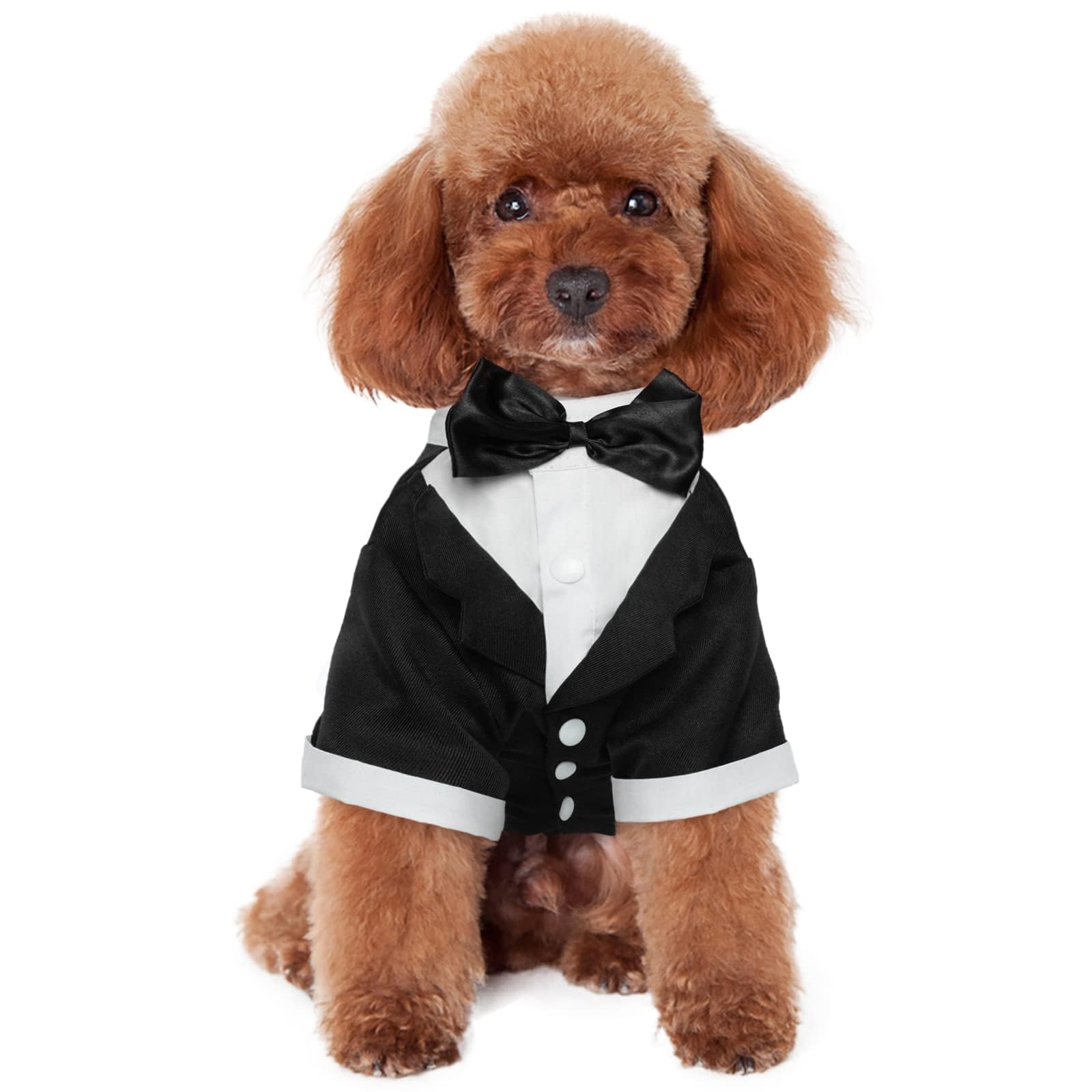 Kuoser Dog Shirt Puppy Pet Small Dog Clothes, Stylish Suit Bow Tie Costume, Wedding Shirt Formal Tuxedo With Black Tie, Dog Prince Wedding Bow Tie Suit Party Outfit