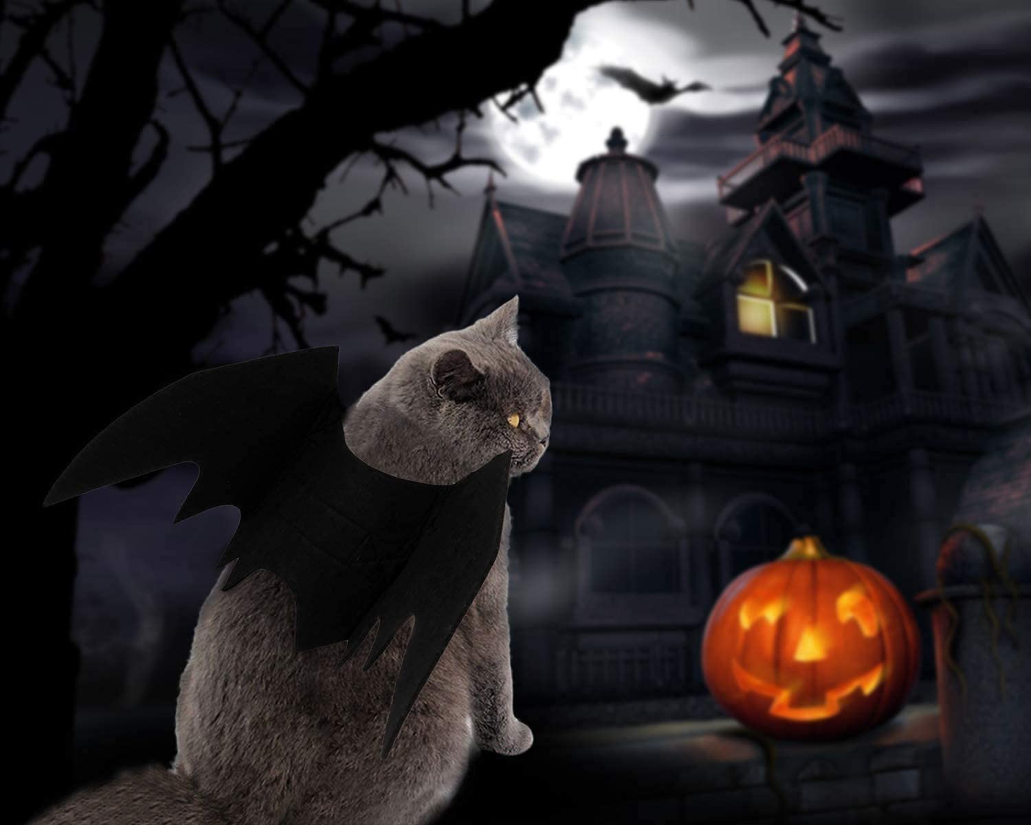 Ismarten Bat Wings Costume, Small, Black Felt, For Dogs & Cats, Halloween Pet Apparel