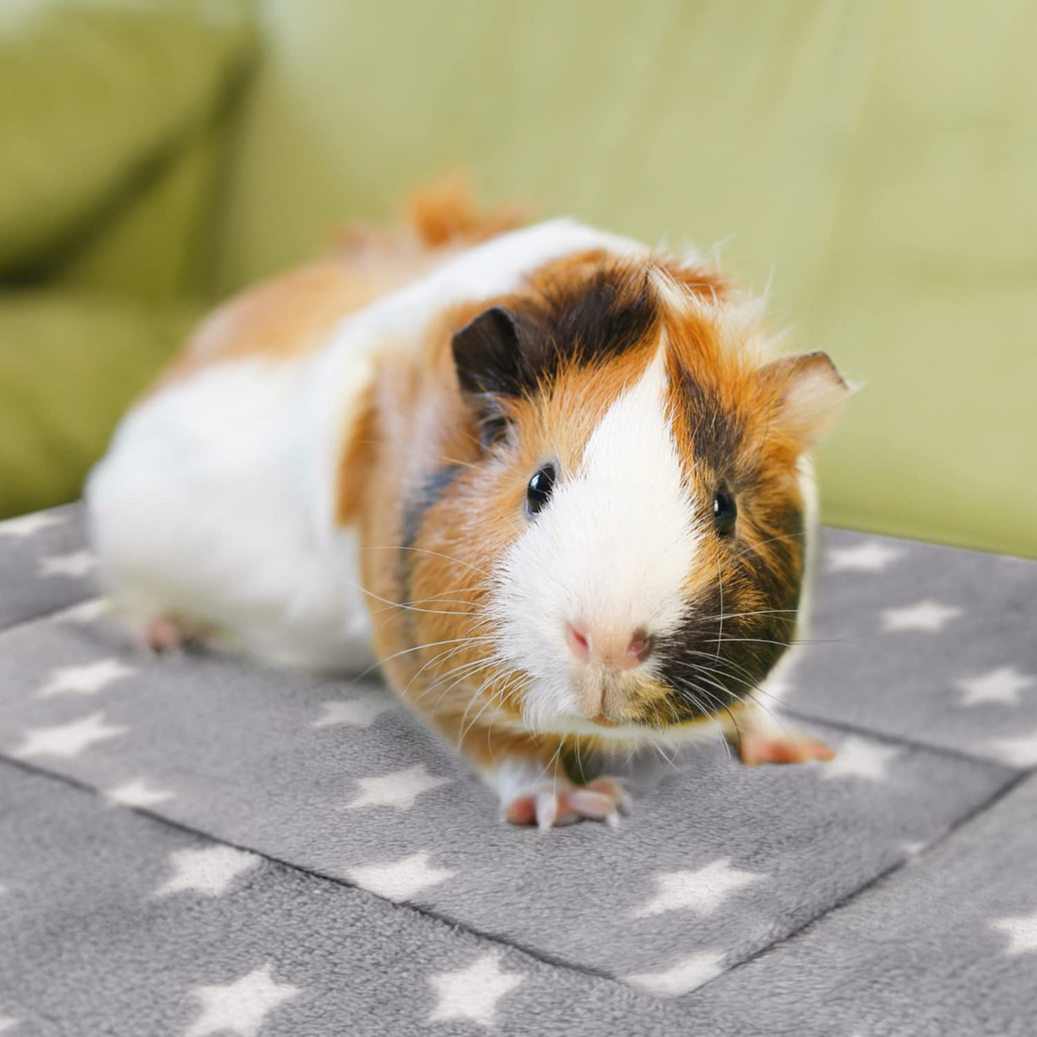 Tierecare 10Pcs Guinea Pig Bed Soft Rabbit Bedding Cage Liner Warm Bunny Mats Pee Pads Fleece Blanket Plush Hamster Sleep Beds F