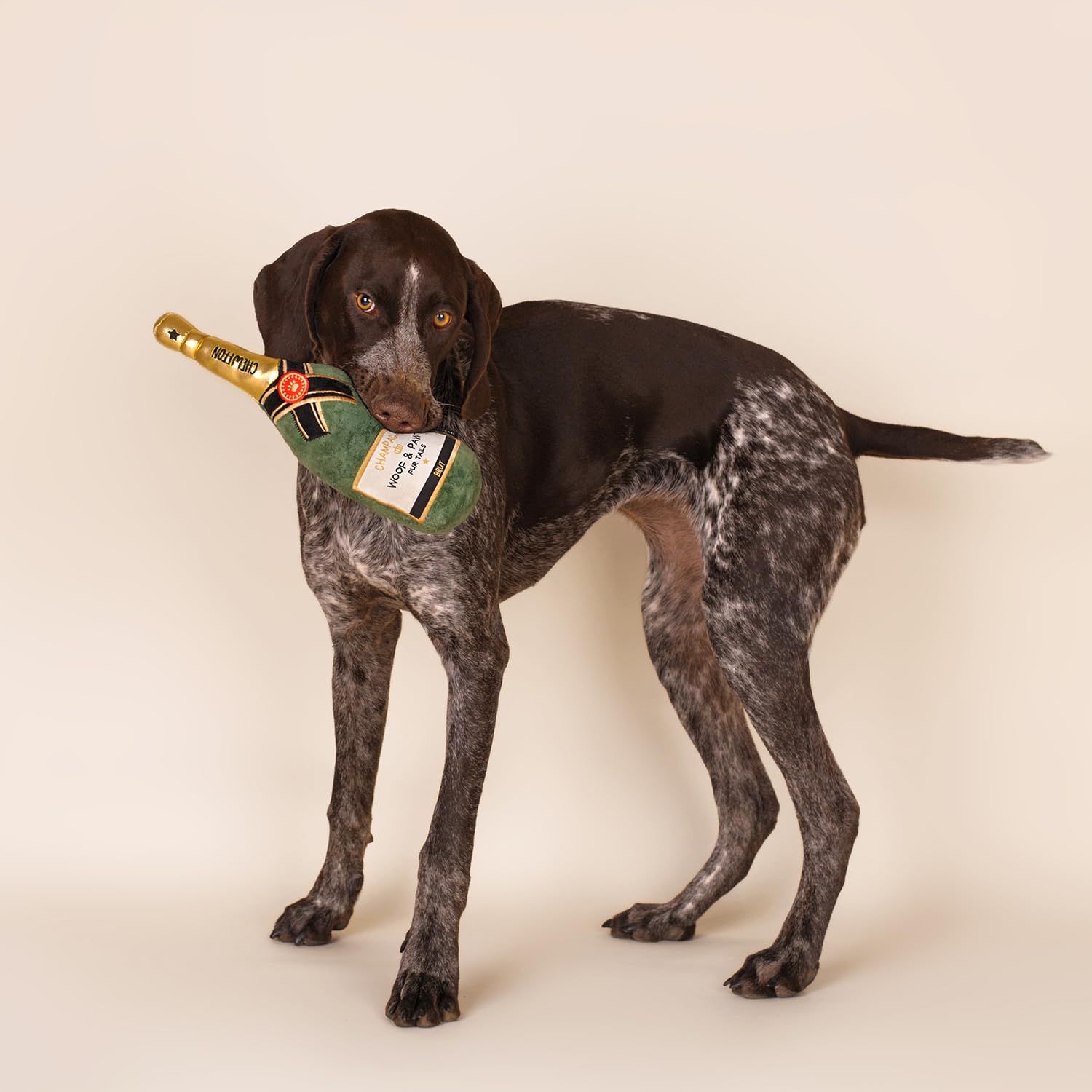 CHEWFFON Dog Toy - Squeaky Plush Champagne Shape Interactive Toy for All Breeds, Green, Model CF-CP-GREEN