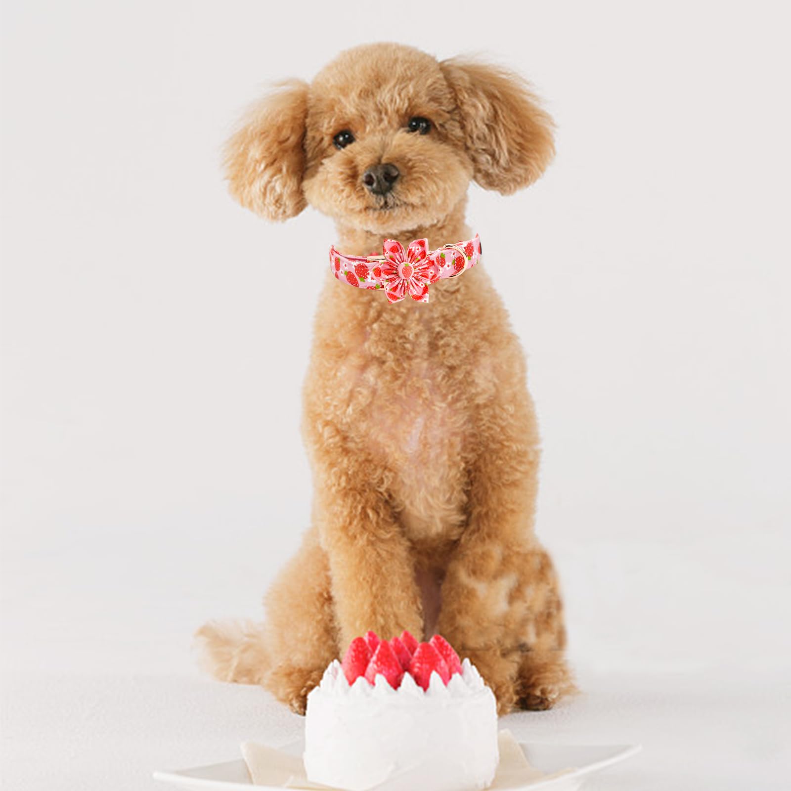 Elegant Little Tail Spring Dog Collar, Strawberry Print Cotton Soft Medium Dog Collar With Removable Flower Decoration, Fits Nec