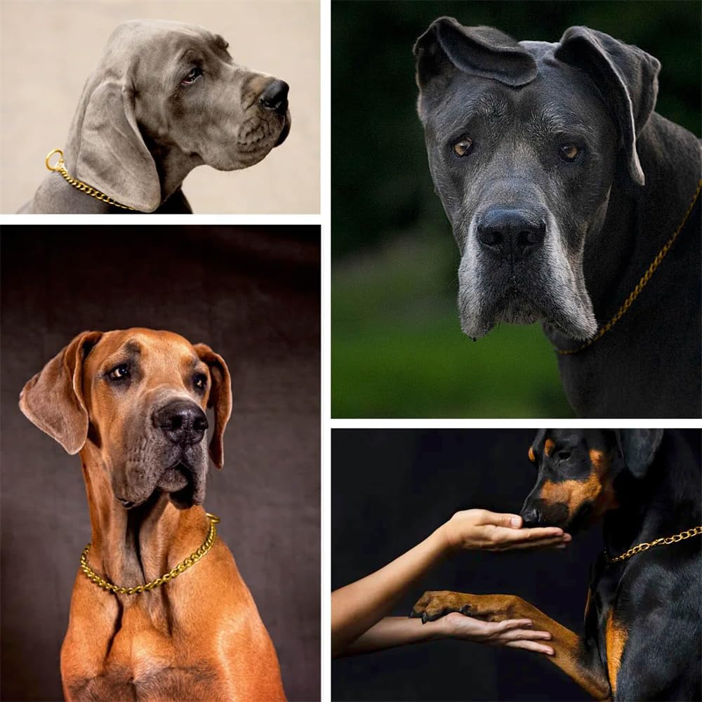Gold Dog Chain,Metal Slip Link Martingale Dog Collar Training Heavy Duty Male Boys Dog Chain Female Girls Puppy Collars For Xxs
