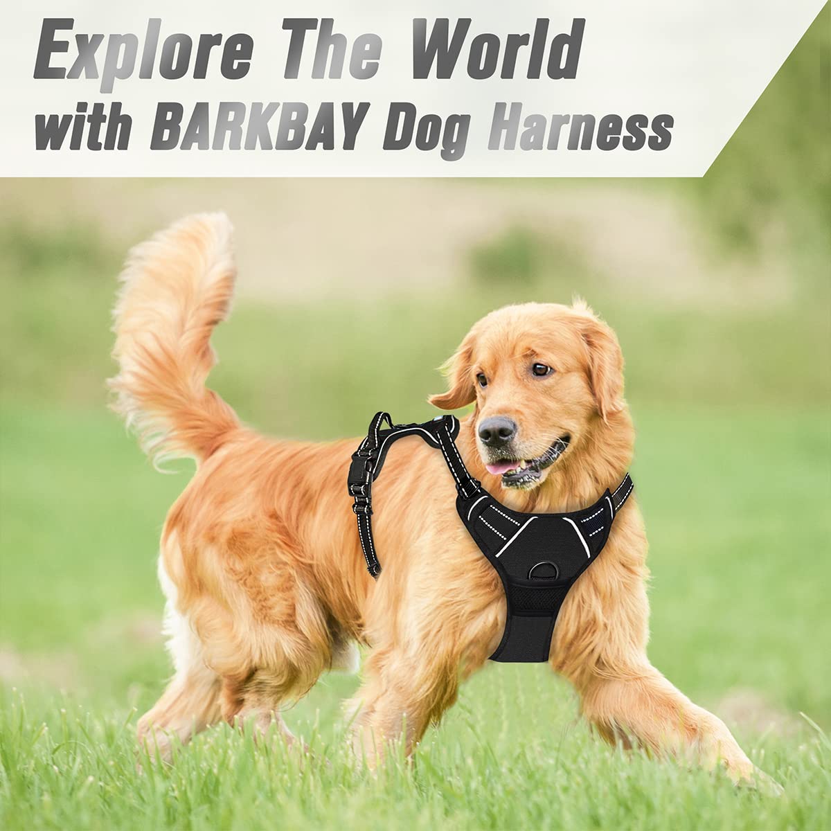 Barkbay No Pull Dog Harness Front Clip Heavy Duty Reflective Easy Control Handle For Large Dog Walking(Black,S)