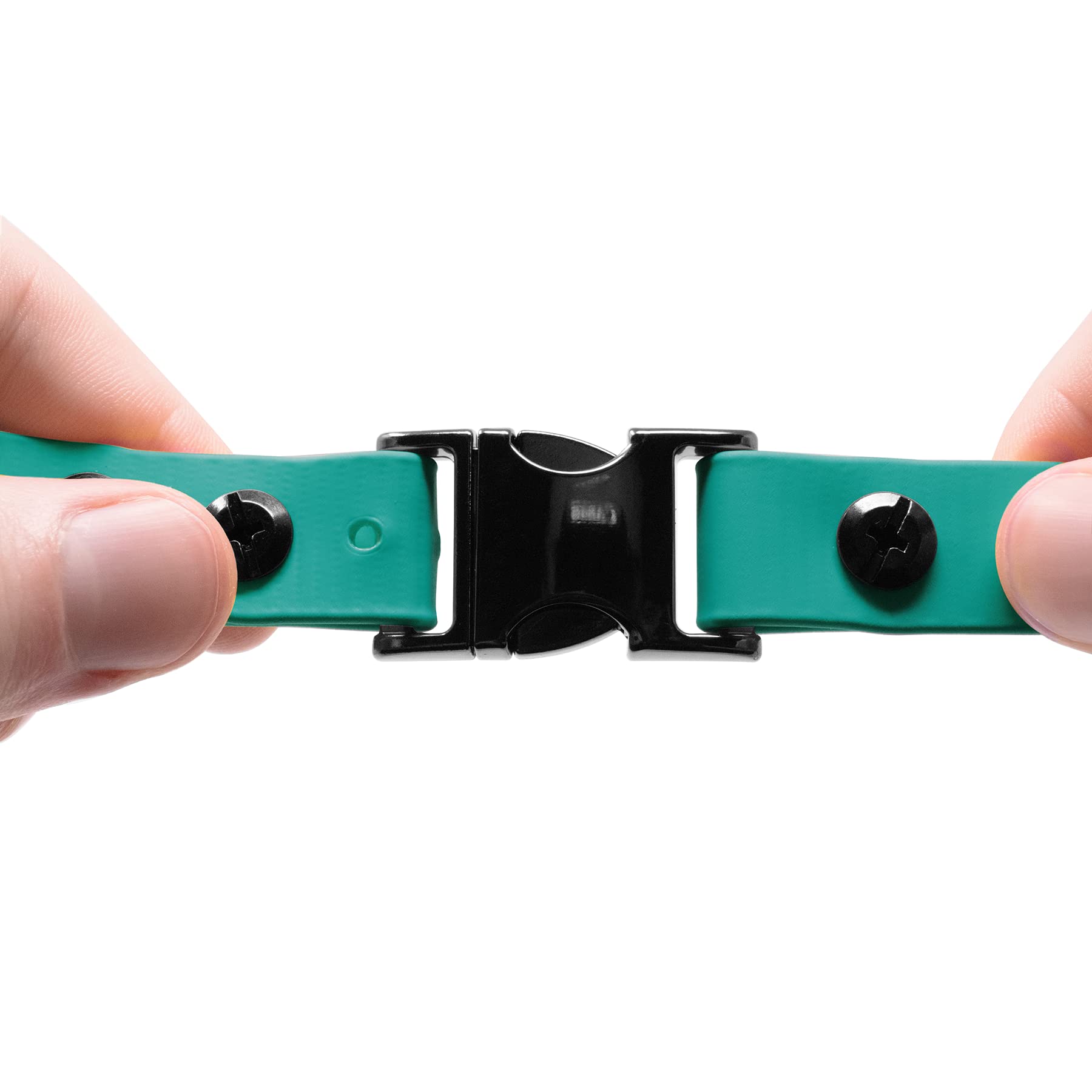 Educator Quick Snap Bungee Dog Collar, Biothane, Waterproof, Odorproof, Easy Connect And Disconnect Clasp And D Ring With Comfort Bungee Loop, Adjustable For Custom Fit, 3/4-Inch, Teal