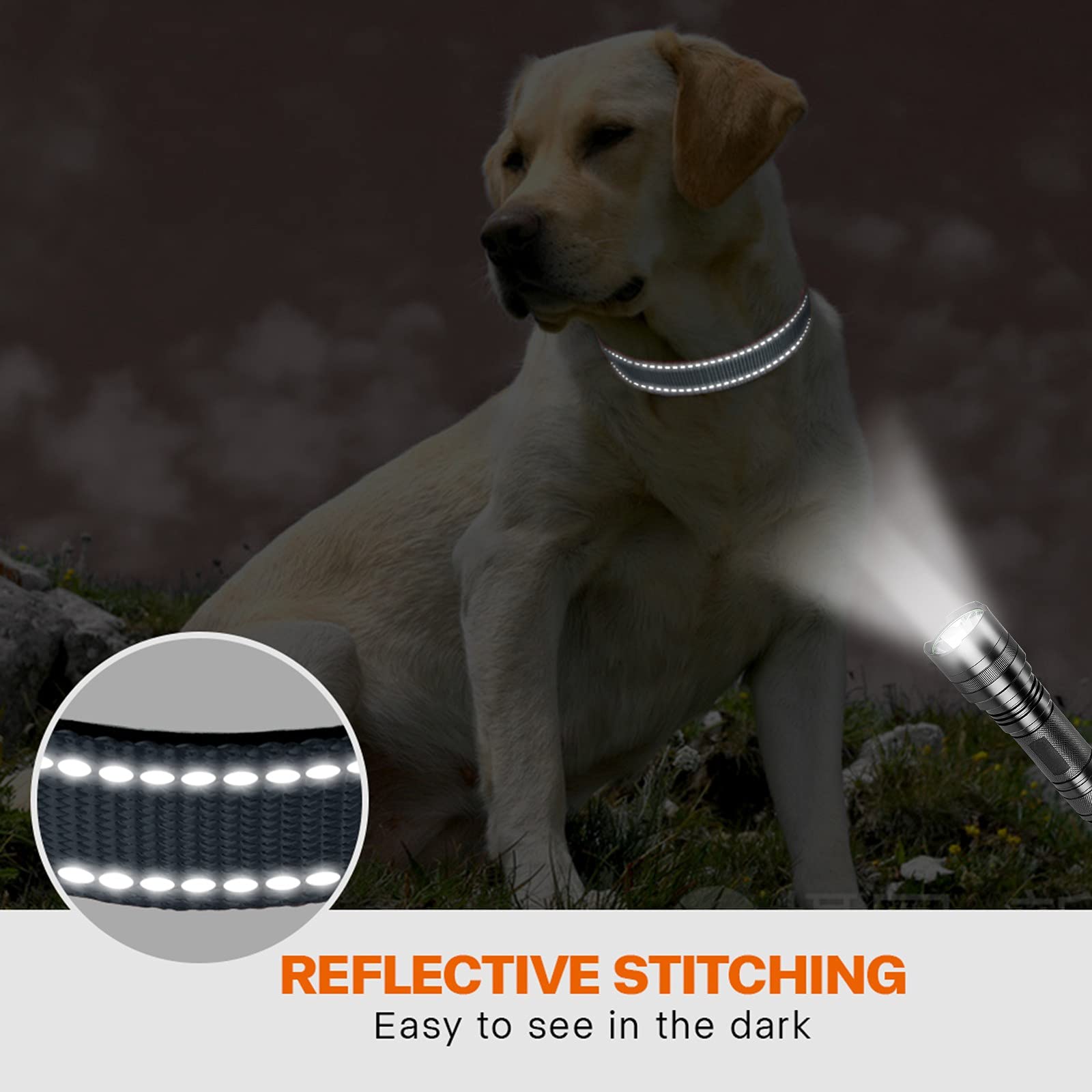 Taglory Reflective Dog Collar With Safety Locking Buckle, Adjustable Nylon Pet Collars For Extra Large Dogs Female Male, Grey, Xl