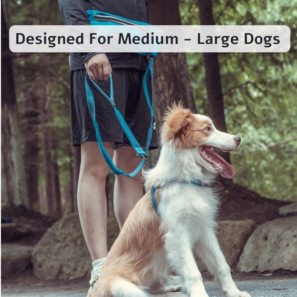 DOCO Heavy Duty Dog Leash - Adjustable Waist Belt, Bungee Design, Reflective, Medium-Large, Turquoise