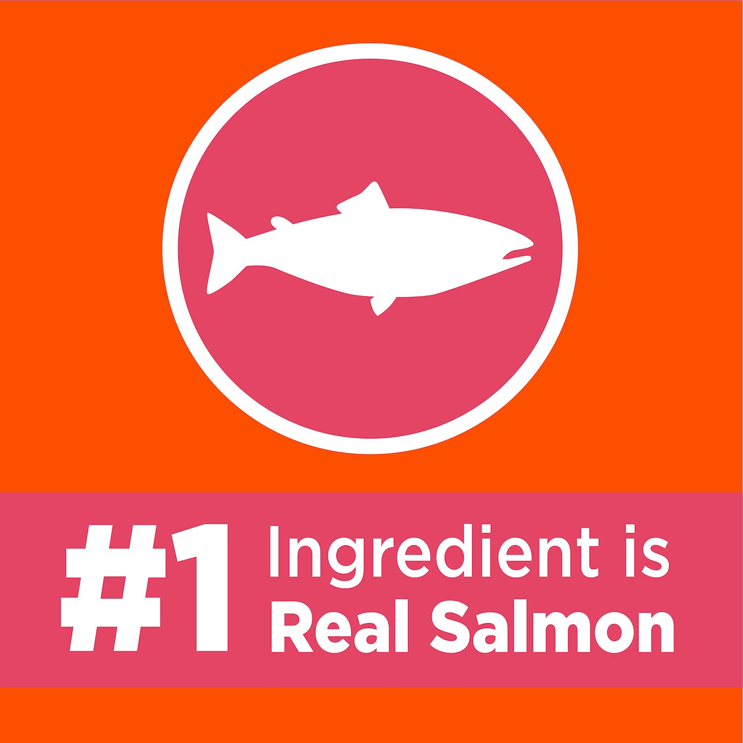 IAMS Proactive Health Adult Healthy Dry Cat Food with Salmon, 3.5 lb. Bag