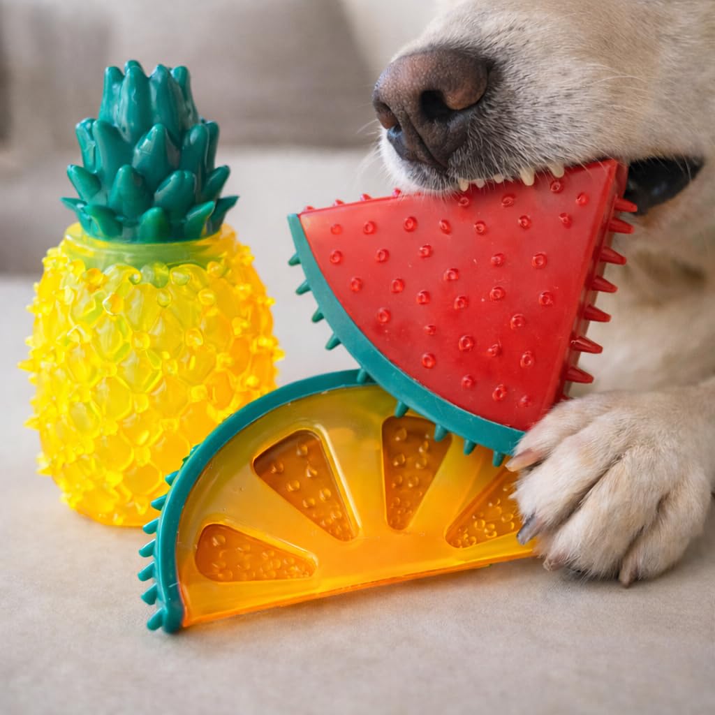Petpals Fruit Chew Dog Toy Combo | Squeaky Chew Toys For Dogs | Dental Care & Puppy Teething Dog Toy