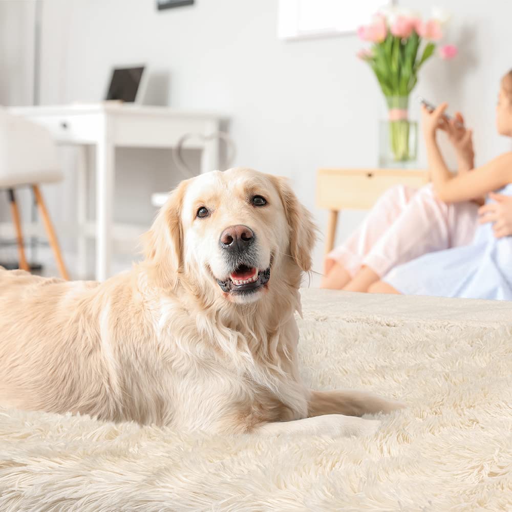 Petami Waterproof Dog Blanket For Bed Xl Dog Pet Blanket Couch Cover Protector, Sherpa Fleece Fuzzy Leakproof Blanket For Sofa Furniture Queen Bed Protection Reversible Soft Fluffy, 90X90 Cream Beige